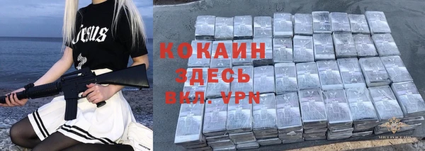 дживик Алексеевка